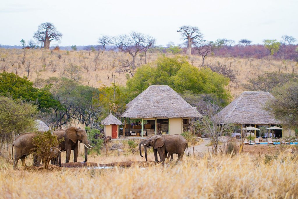 Tarangire Osupuko Lodge