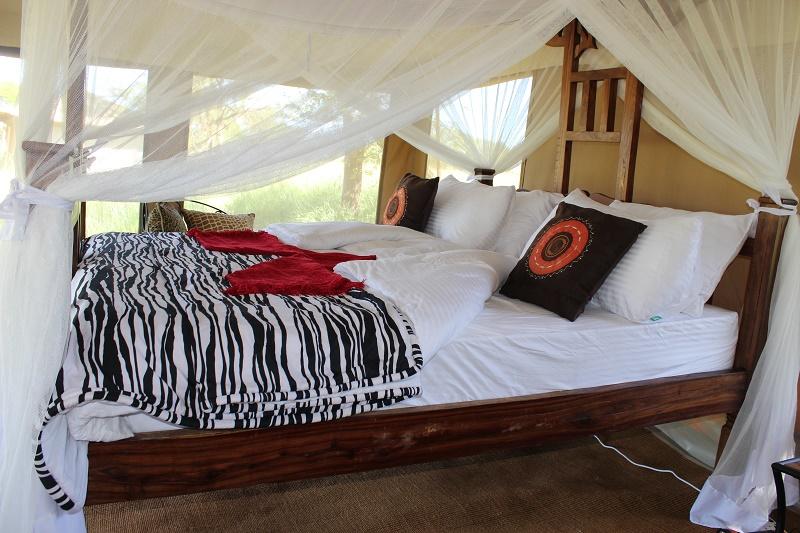 Serengeti Accacia Camps