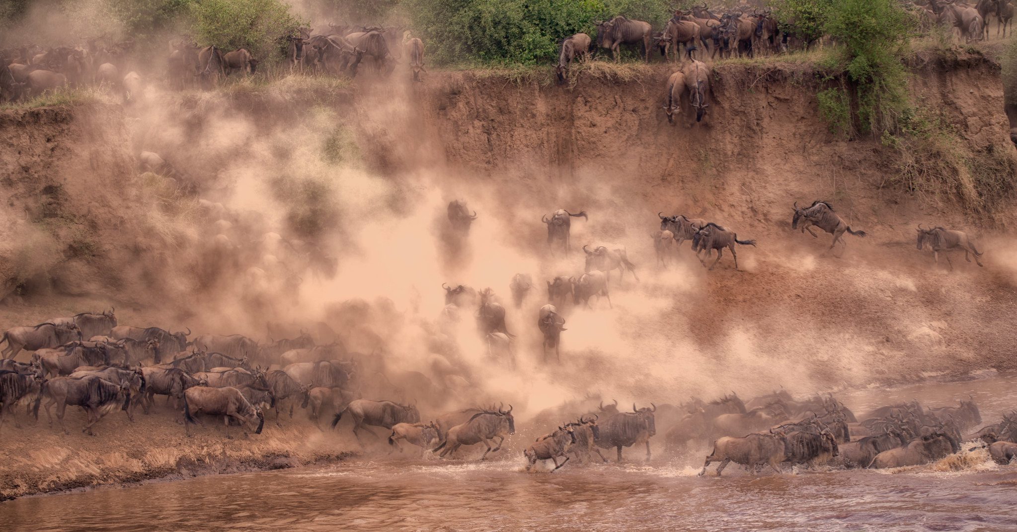 Great Wildebeest Migration